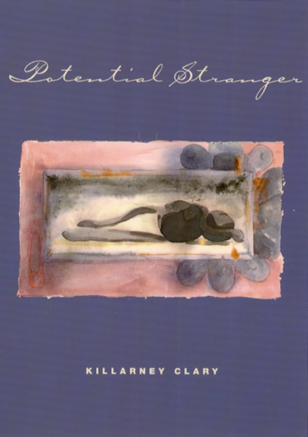 Potential Stranger (Phoenix Poets),Used