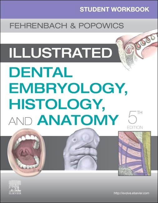 Student Workbook For Illustrated Dental Embryology, Histology And Anatomy,Used