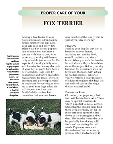 Fox Terrier (CompanionHouse Books) A Kennel Club Book (Comprehensive Owner's Guide),Used