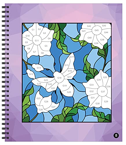 Brain Games  Sticker by Number: Flowers & Nature (28 Images to Sticker),Used