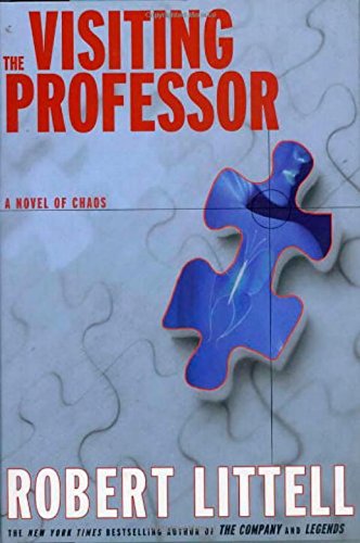 The Visiting Professor: A Novel Of Chaos