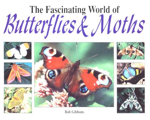 The Fascinating World of Butterflies and Moths,Used