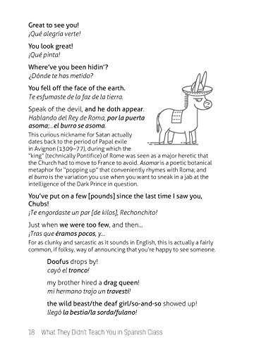 What They Didn't Teach You in Spanish Class: Slang Phrases for the Cafe, Club, Bar, Bedroom, Ball Game and More (What They Didn',Used