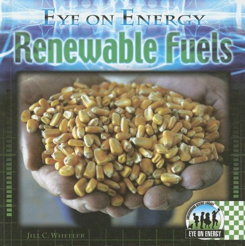 Renewable Fuels (Eye on Energy),Used