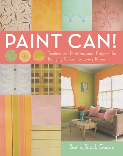 Paint Can!: Techniques, Patterns, and Projects for Bringing Color into Every Room,Used