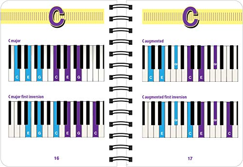 Piano Chord Book: 480 Essential Chords,Used
