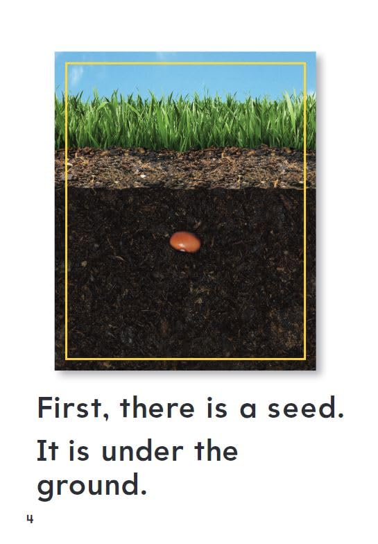How Plants Grow (TIME FOR KIDS Nonfiction Readers),Used