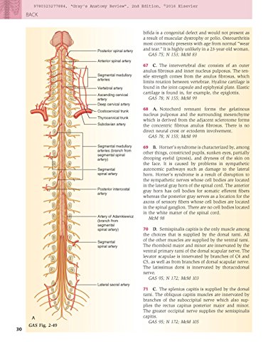 Gray'S Anatomy Review: With Student Consult Online Access, 2E,Used