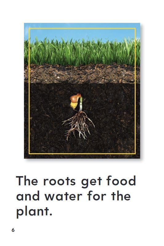 How Plants Grow (TIME FOR KIDS Nonfiction Readers),Used