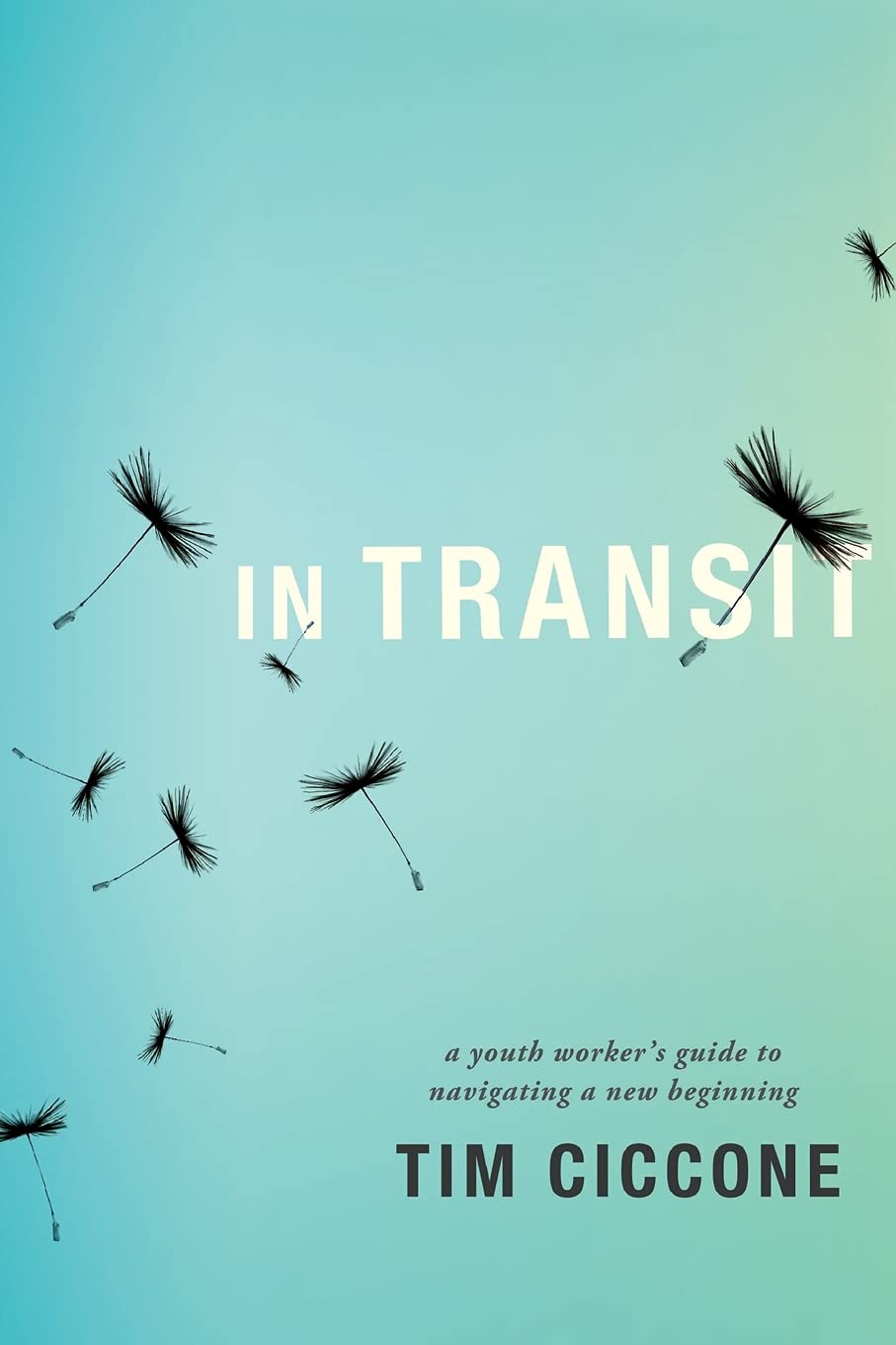 In Transit: A Youth Worker'S Guide To Navigating A New Beginning,Used