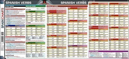 Spanish Verbs SparkCharts,Used