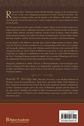 Essays on John and Hebrews,Used