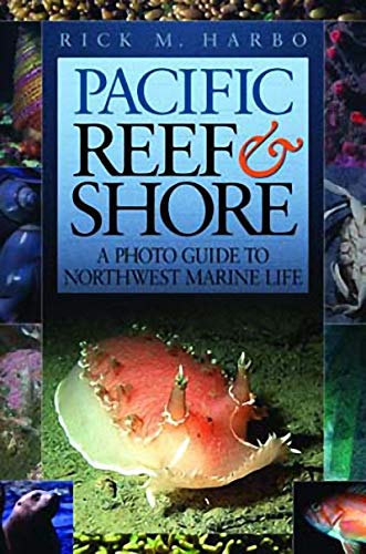 Pacific Reef & Shore Revised Second Edition: A Photo Guide to Northwest Marine LIfe,Used