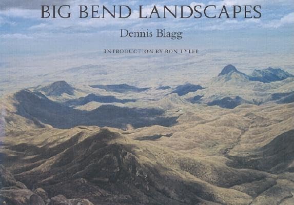 Big Bend Landscapes (Volume 12) (Joe and Betty Moore Texas Art Series),Used