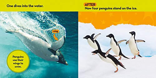 National Geographic Kids Look & Learn: Before and After,Used