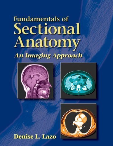 Fundamentals Of Sectional Anatomy: An Imaging Approach,New