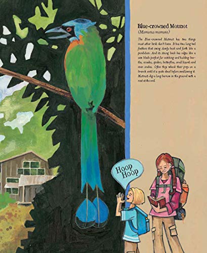 The Forever Forest: Discover the Importance of Saving Our Planet in the Perfect Activist Book for Kids (Discusses Conservation, ,Used