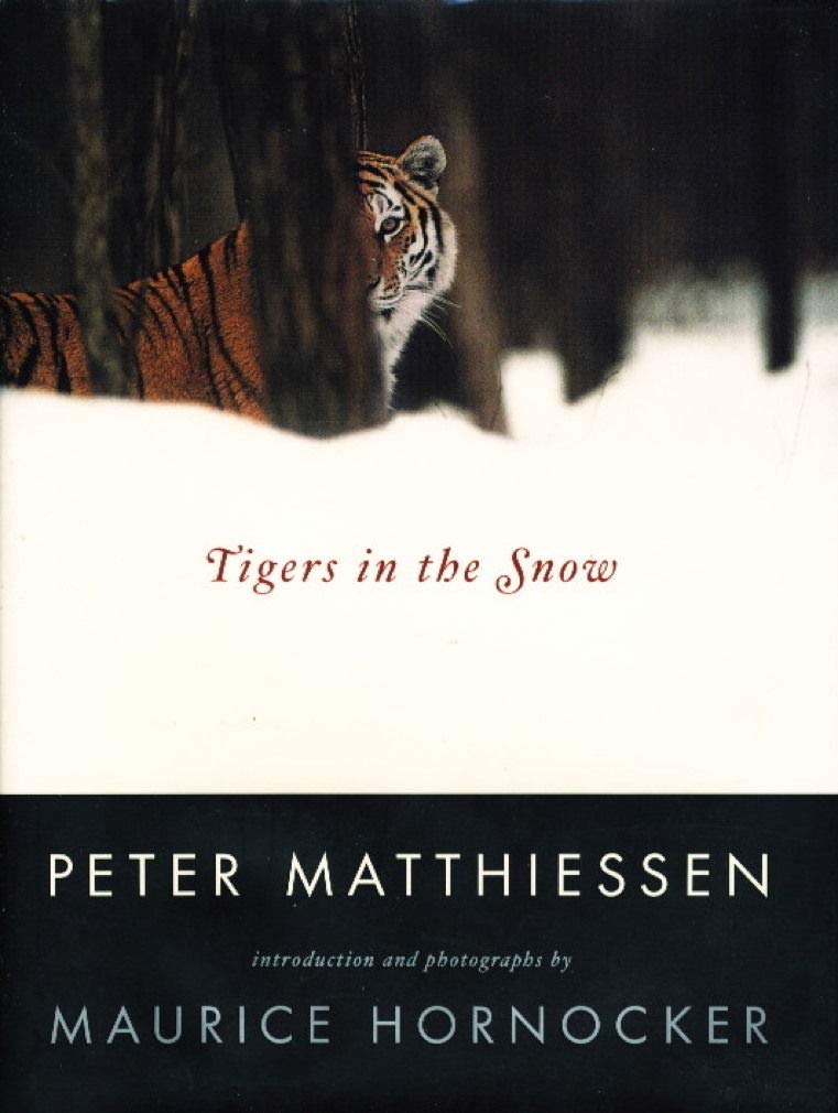 Tigers In The Snow,Used
