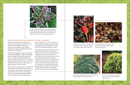 Gardening with Foliage First: 127 Dazzling Combinations That Pair the Beauty of Leaves with Flowers, Bark, Berries, and More,New