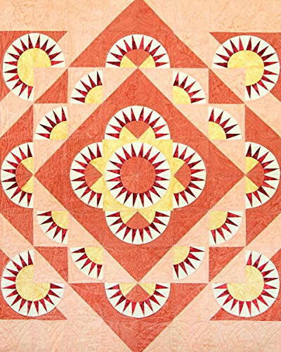 New York Beauty Quilts Electrified: 12 Fun, SkillBuilding Projects Using Easy Foundation PaperPiecing Techniques to Electrify ,Used