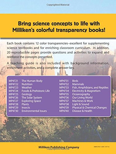 Geology: Rocks and Minerals (Experiences in Science),Used