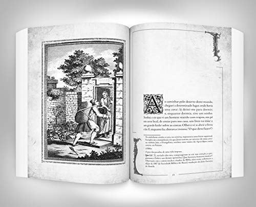 O Peregrino (Portuguese Edition),Used