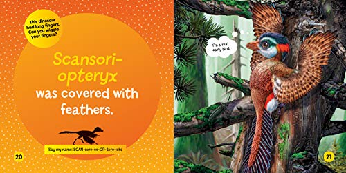 National Geographic Kids Little Kids First Board Book: Dinosaurs (First Board Books),Used