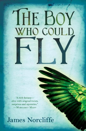 The Boy Who Could Fly,Used