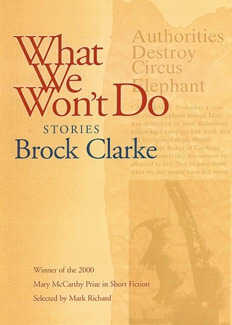 What We Won't Do: Stories,Used