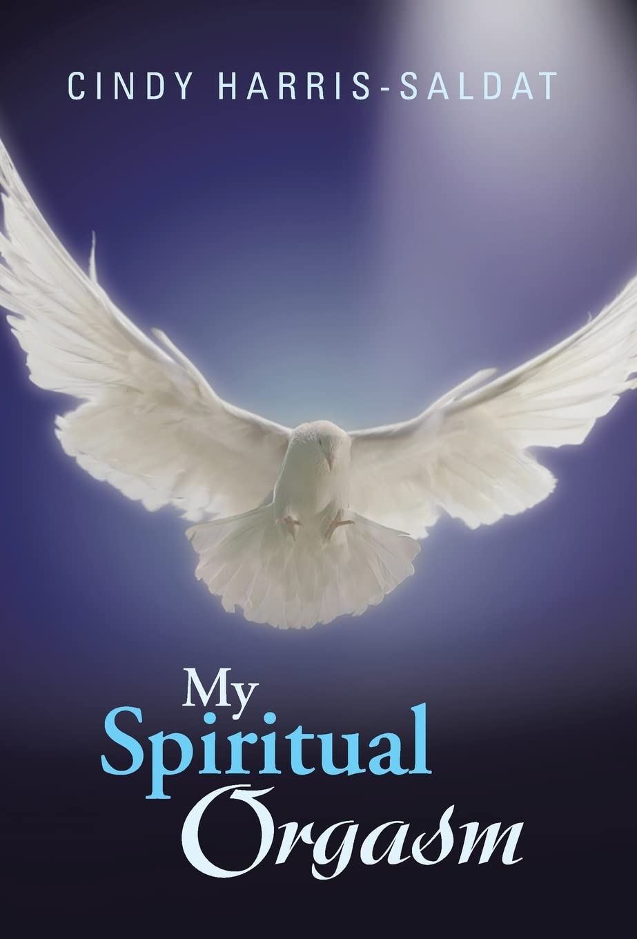 My Spiritual Orgasm,Used