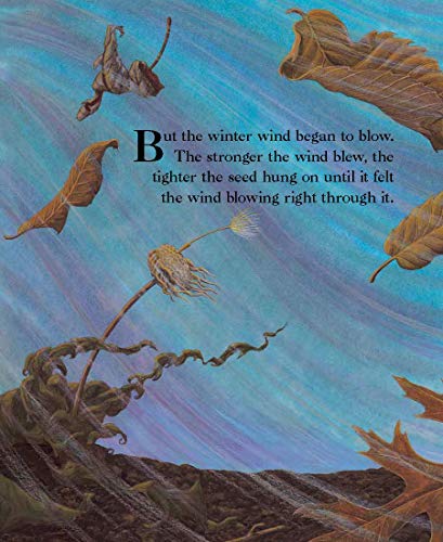 The Dandelion Seed: A Life Cycle Nature Book for Kids (Plants For Children, Science For Kindergarten),Used