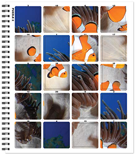 Brain Games Sticker by Number: Ocean Life (Easy Square Stickers): Create Beautiful Art With Easy to Use Sticker Fun!,Used