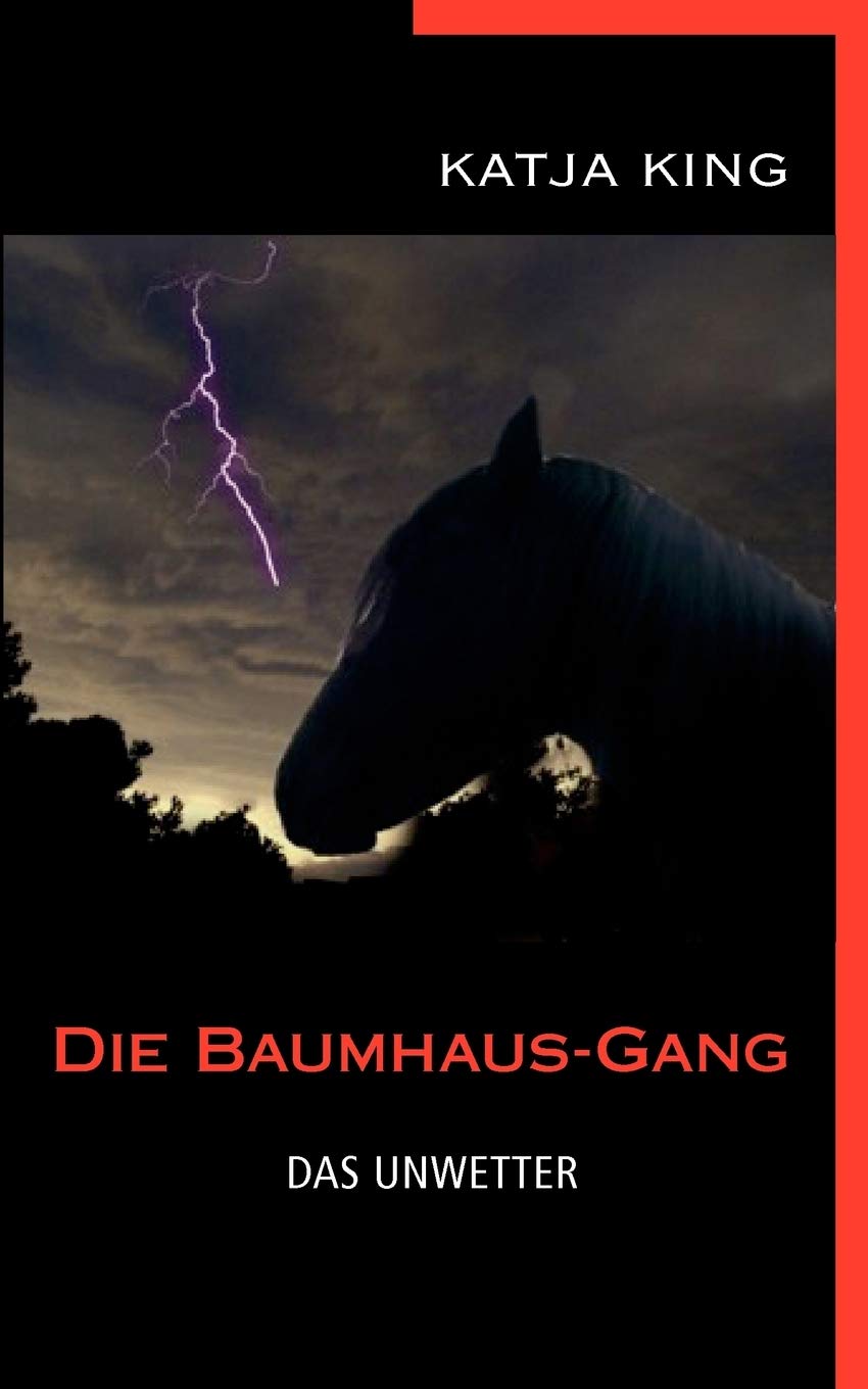 Die BaumhausGang  Das Unwetter (German Edition),Used