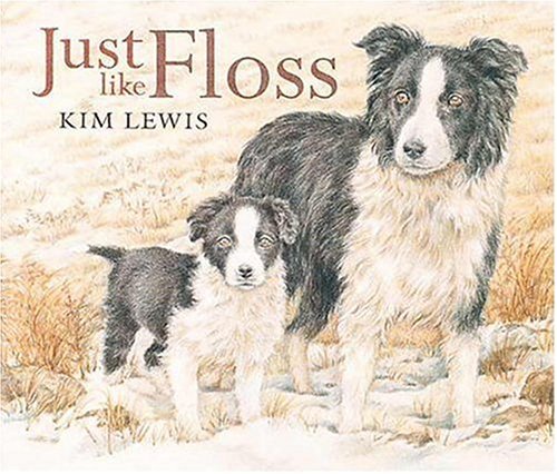Just Like Floss,Used