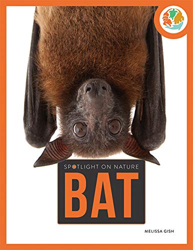 Bat (Spotlight On Nature)