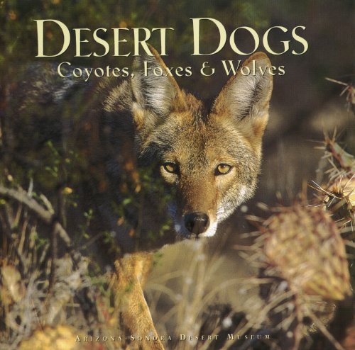 Desert Dogs: Coyotes, Foxes & Wolves,Used