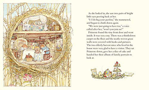 A Year in Brambly Hedge: Celebrating forty years of Brambly Hedge with this beautiful storybook gift set,New