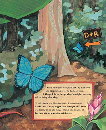 The Forever Forest: Discover the Importance of Saving Our Planet in the Perfect Activist Book for Kids (Discusses Conservation, ,Used