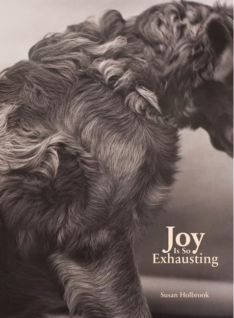 Joy Is So Exhausting,Used