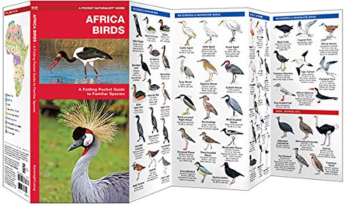 Africa Birds: A Folding Pocket Guide to Familiar Species (Wildlife and Nature Identification),Used