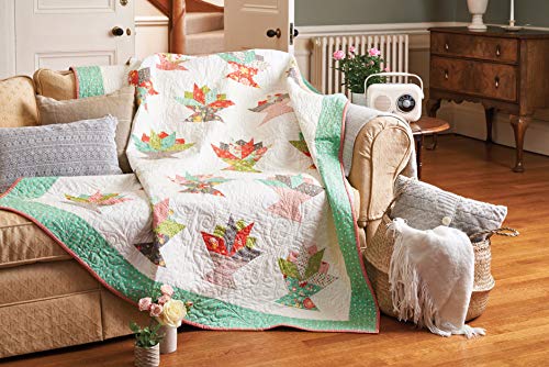 Love Jelly Roll Quilts: A Bakers Dozen of Tasty Projects for All Skill Levels,Used