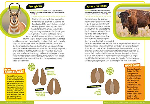 Ultimate Explorer Field Guide: Mammals,Used
