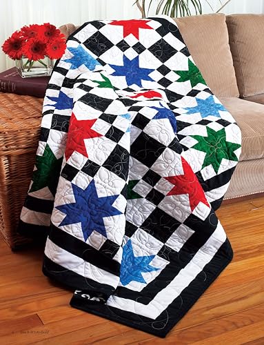 Black White & Bold: Colorful Quilt Designs with Jelly Roll Fabric Strips (Design Originals) Patterns and Instructions for Beauti,Used