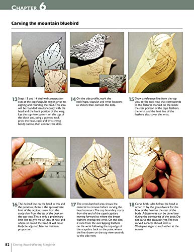 Carving AwardWinning Songbirds: An Encyclopedia of Carving, Sculpting and Painting Techniques (Fox Chapel Publishing) Comprehen,Used