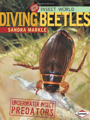 Diving Beetles: Underwater Insect Predators (Insect World),New