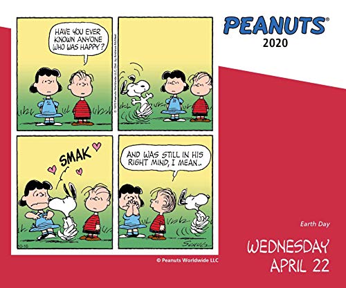 Peanuts 2020 DaytoDay Calendar,Used