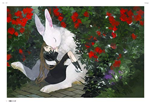 Soire: Art Collection of nekosuke (Japanese Edition),Used