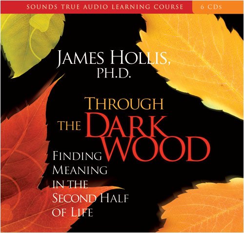 Through the Dark Wood: Finding Meaning in the Second Half of Life,Used