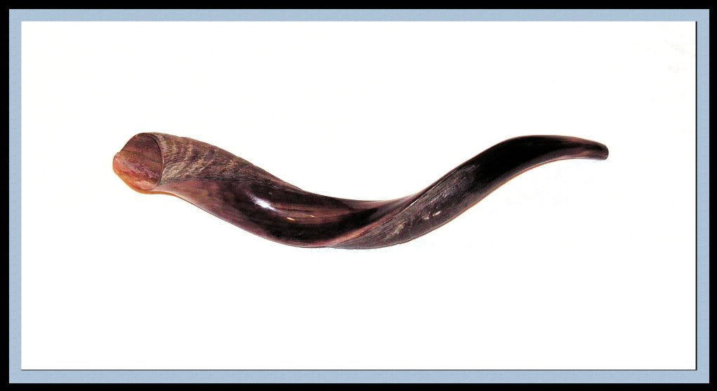 Sound The Shofar!: A Story For Rosh Hashanah And Yom Kippur,Used