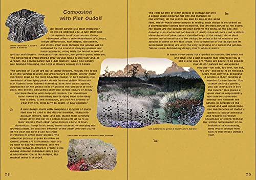 Landscape Works with Piet Oudolf and LOLA: In Search of Sharawadgi,Used